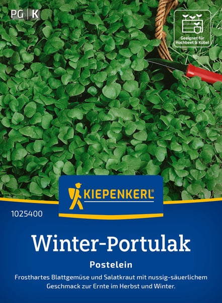 Winterportulak Samen von Kiepenkerl fuer den Anbau in Hochbeet und Kuebel