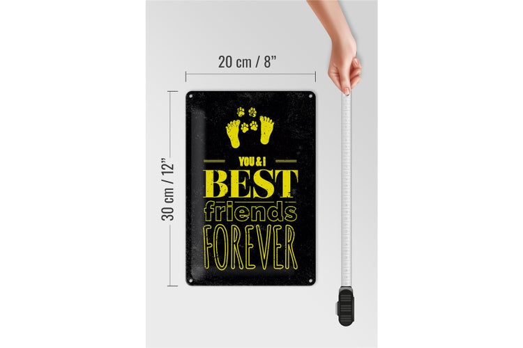 Blechschild Spruch Freunde You I best friends forever 20x30cm