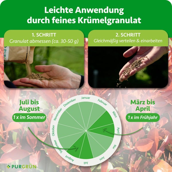 Anleitung: Granulat abmessen (circa 30 bis 50 Gramm) und gleichmäßig verteilen. Anwendung im März bis April und Juli bis August. Purgrün Logo.