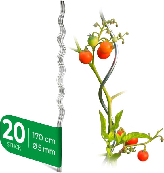 Tomatenspiralstab Set aus verzinktem Stahl, 20 Stück, Höhe 170 Zentimeter, Durchmesser 5 Millimeter, mit Anwendungsbeispiel einer Tomatenpflanze.