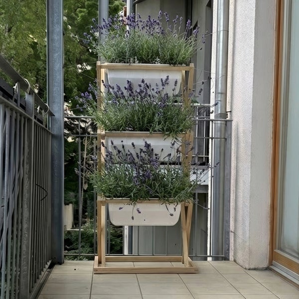 Vertikales Pflanzregal aus Holz mit vier weißen Kästen voller Lavendel auf einem Balkon mit Metallgeländer.