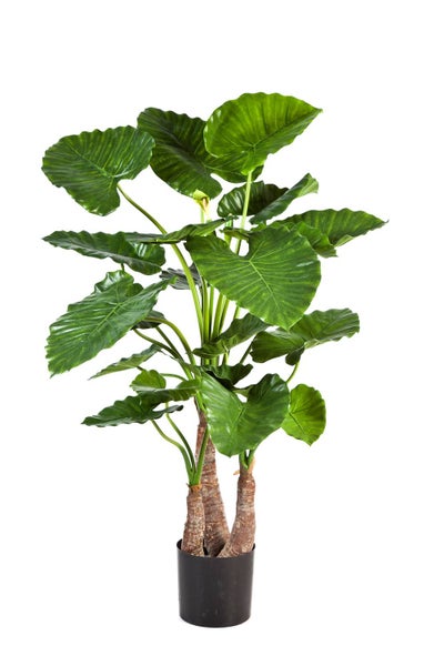 Drei künstliche Alocasia-Pflanzen in verschiedenen Größen, mit großen grünen Blättern und strukturierten Stämmen, in schwarzen Töpfen und einem Tontopf.
