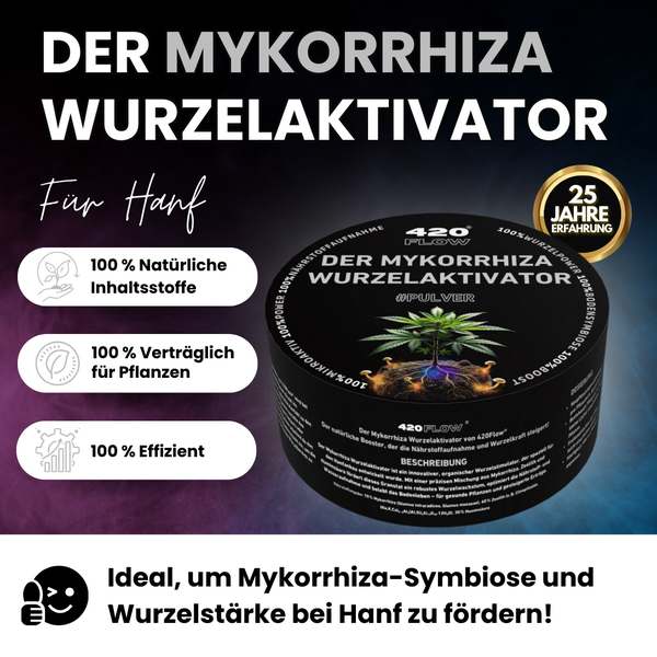 420 Flow Mykorrhiza Wurzelaktivator als organischer Wurzelstimulator für Hanf zur Förderung der Nährstoffaufnahme und des Wurzelwachstums.