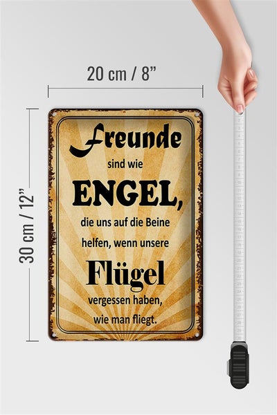 Blechschild Spruch 20x30cm Freunde sind wie Engel die uns