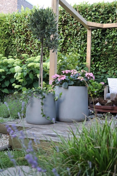 Zwei mattgraue Pflanztöpfe auf einem Holzdeck in einem organisierten Garten, einer mit rosa Hortensien und einer mit einem kleinen Baum.