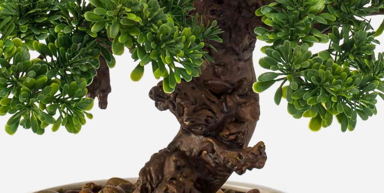 Nahaufnahme eines künstlichen Bonsai-Baums mit strukturiertem Stamm und kleinen grünen Blättern.