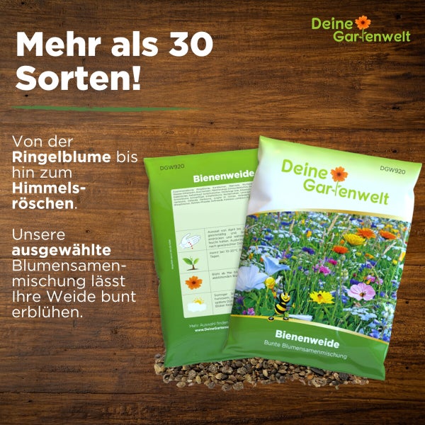 Bienenweide Blumenmischung 100 g Samen von Deine Gartenwelt