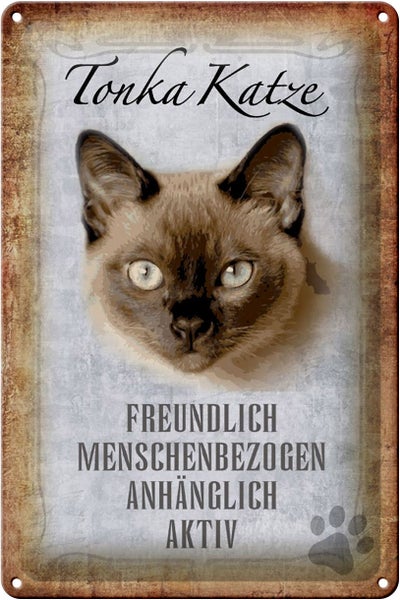 Kulthänger Blechschild "Katzen Können Sprechen