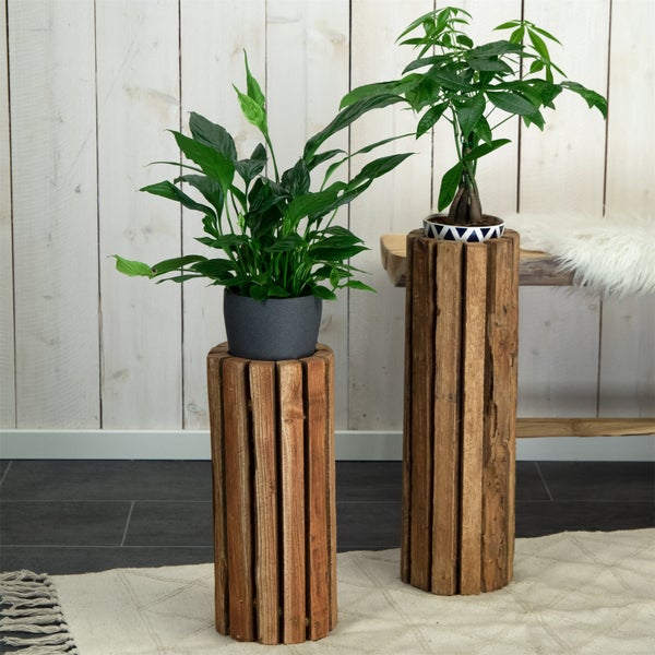 Deko-Säule Spira 55 Massivholz, rund, für Pflanzen, Kerzen naturfarben