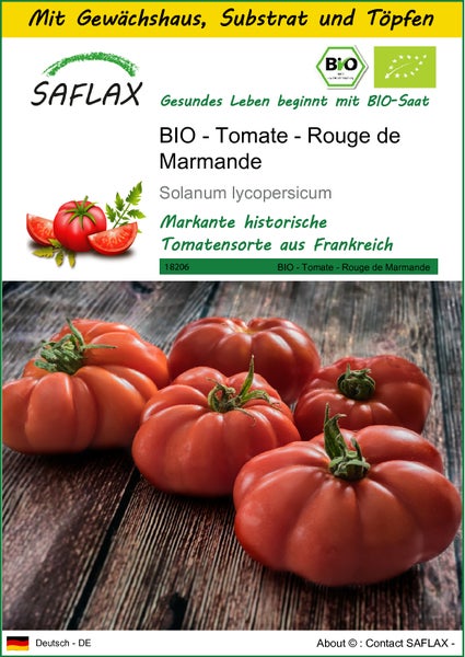 SAFLAX Anzucht Set - BIO - Tomate - Rouge de Marmande - Solanum lycopersicum - 10 Samen - Mit Mini-Gewächshaus, Anzuchtsubstrat und 2 Töpfen