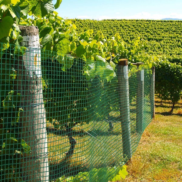 Grünes Kunststoffgitter als Schutzzaun im Weinberg an Holzpfosten befestigt.