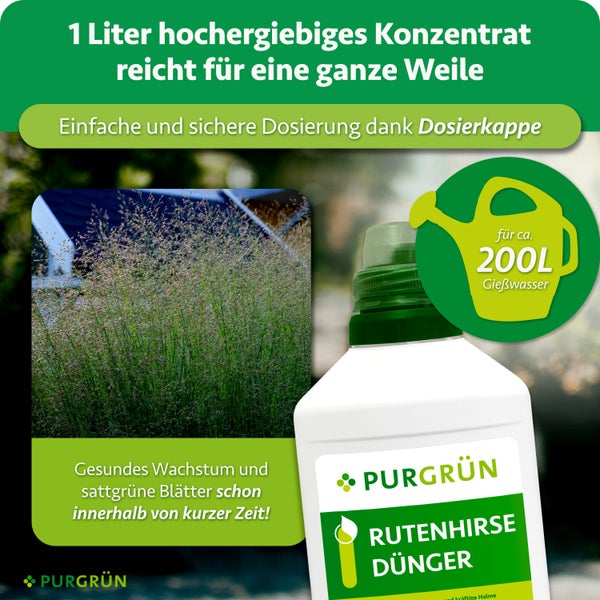 Eine Flasche Purgrün Rutenhirse Dünger Konzentrat mit Dosierkappe für zweihundert Liter Gießwasser für gesundes Wachstum von Ziergräsern.