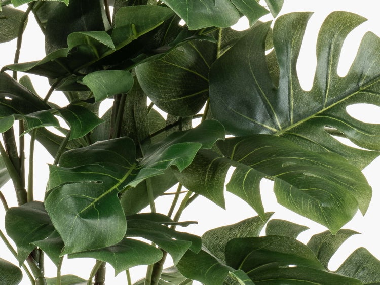 Nahaufnahme der großen grünen Blätter einer künstlichen Monstera-Pflanze mit charakteristischen Schlitzen und detaillierter Blattaderung.