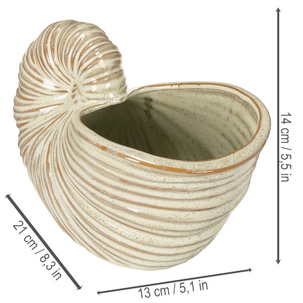 Schale in Form einer Nautilus-Muschel mit den Maßen 14 cm Höhe, 21 cm Breite und 13 cm Tiefe.