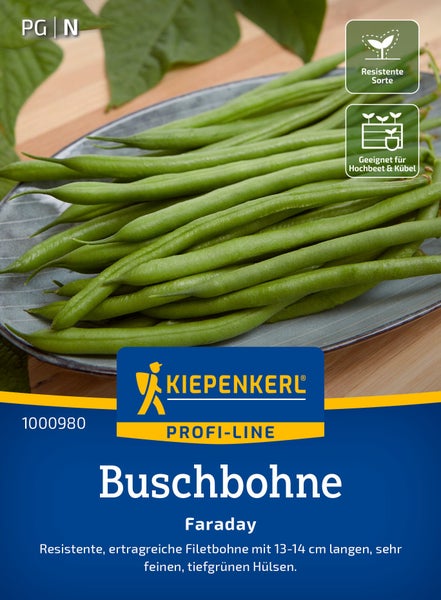 Kiepenkerl Profi-Line Buschbohne Faraday Saatgut für resistente und ertragreiche Filetbohnen mit sehr feinen Hülsen.