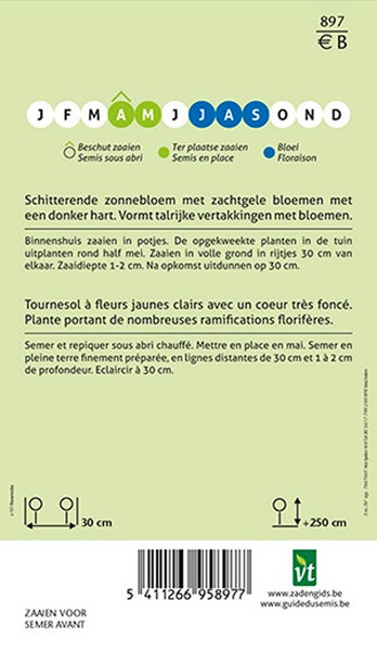 Informationen zum Säen von Sonnenblumensamen