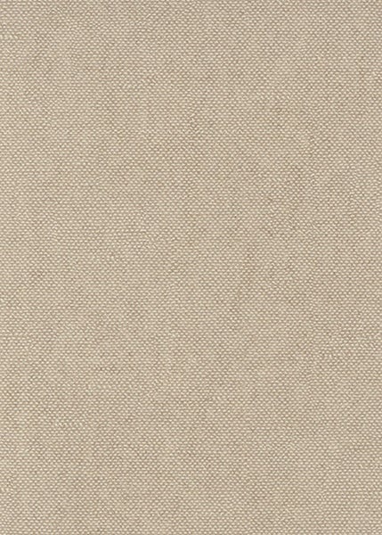 Tapete mit Putzstruktur