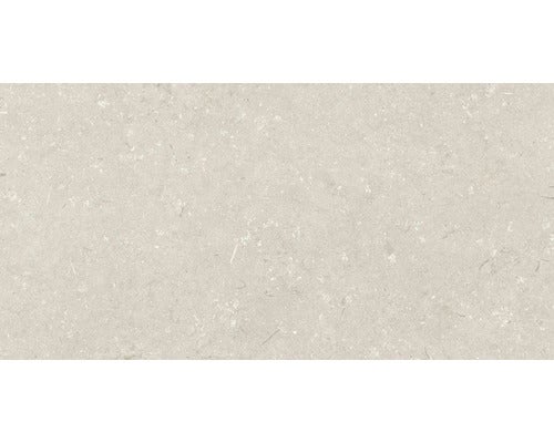 Wand- und Bodenfliese Shellstone beige 60x120cm