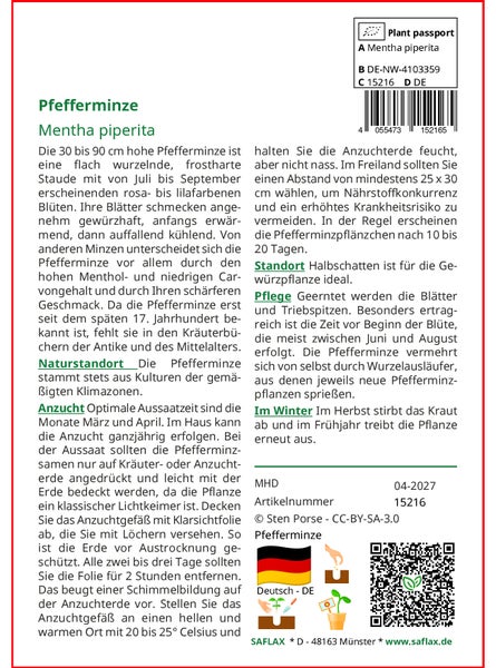 SAFLAX  - Pfefferminze - Mentha piperita - 300 Samen - Mit keimfreiem Anzuchtsubstrat