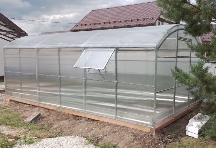 Gewächshaus mit Metallrahmen und Polycarbonatplatten im Garten mit einem geöffneten Dachfenster zur Belüftung.