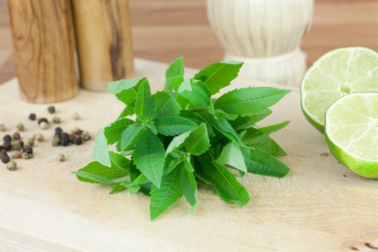 Zitronenstrauch mit Limetten und Pfefferkörnern auf einem Holzbrett