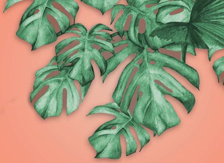 Vlies-Fototapete mit Monstera-Blättern im Aquarell-Stil, botanisches Motiv für die Wandgestaltung.