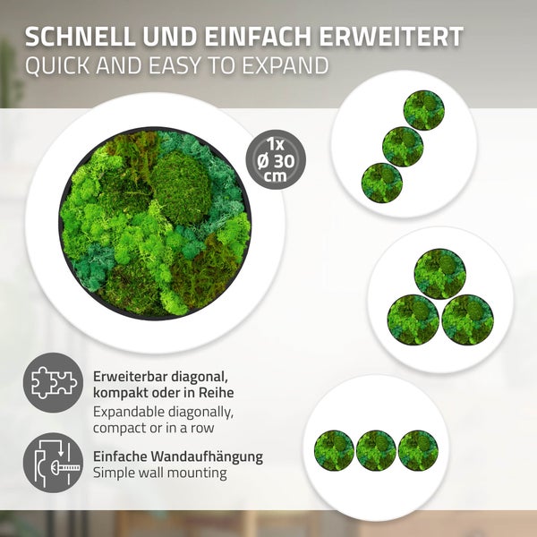 Rundes Moosbild mit dreißig Zentimetern Durchmesser, erweiterbar für Wandgestaltung, inklusive Anleitung zur einfachen Wandmontage.
