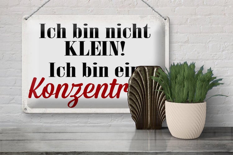 Blechschild Spruch 30x20cm bin nicht klein bin Konzentrat