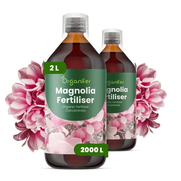 Zwei 2-Liter-Flaschen Organifer Magnoliendünger, organisches Flüssigdüngerkonzentrat, mit Magnolienblüten abgebildet.