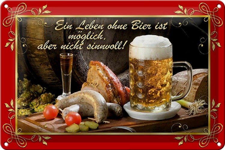 Blechschild Spruch 30x20cm Leben ohne Bier ist sinnlos