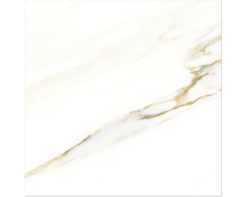 Wand- und Bodenfliese Cava domum 60x60 cm