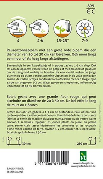 Informationen zur Aussaat von Sonnenblumen