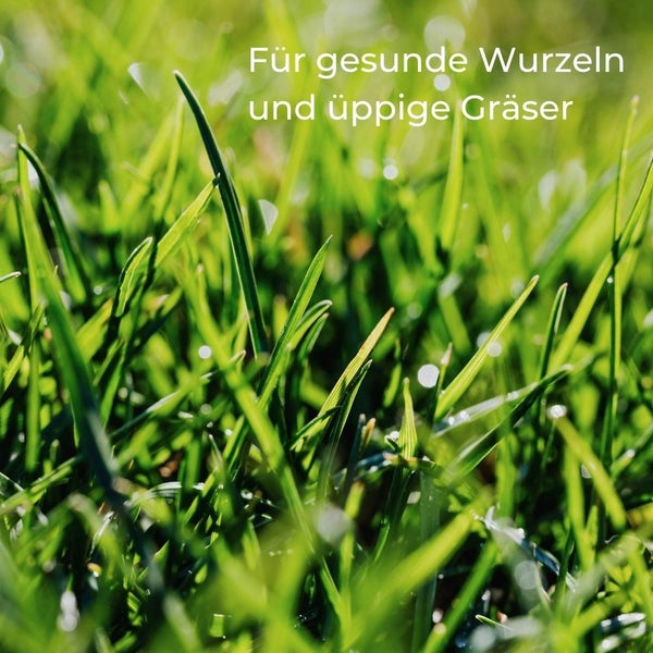 Rasensand 25 Kg Quarzsand Rasen Gartensand 25kg Rasenpflege Grassand Wurzelaktivator Quarzsand Pflanzen Natürliche Rasenverbesserung