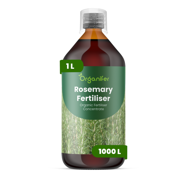Organifer Rosmarin Dünger, 1 Liter organisches Düngerkonzentrat für 1000 Liter.
