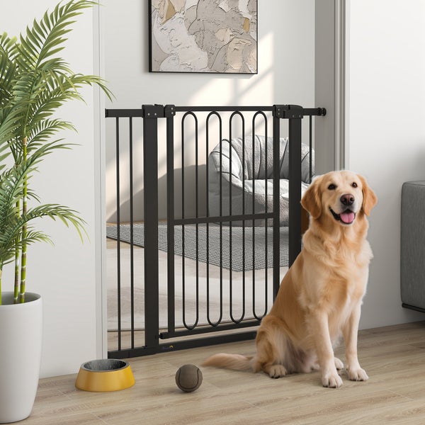 Raumszene mit einem schwarzen Hundegitter, einem Golden Retriever, einem Futter-Napf und einer Zimmerpflanze.