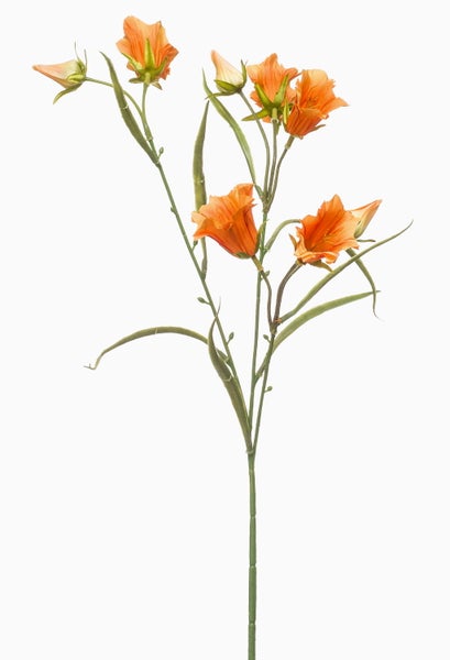 Künstliche Graspflanze mit roten Blüten in einem schwarzen Kunststofftopf.