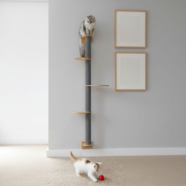 Wandkratzbaum zur Wandmontage mit mehreren Kletterebenen und Sisalsäule, inklusive Katze im Wohnzimmer