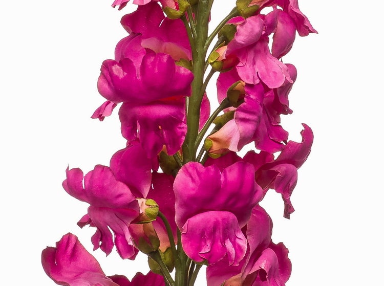 Künstliche Pfingstrose mit grünen Blättern und pinken Blüten.