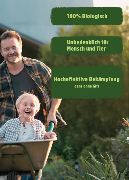 Schlupfwespen Lagererzwespen gegen Brotkäfer, Tabakkäfer, Kugelkäfer, Messingkäfer | Nützlinge, biologisch