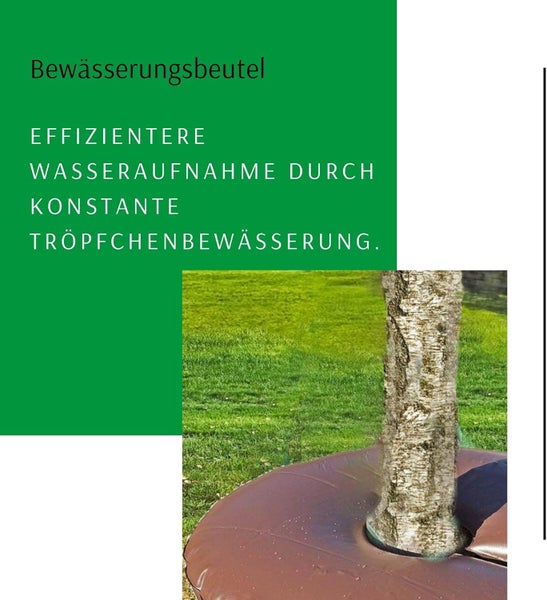 Bewässerungsbeutel für Bäume am Baumstamm für effiziente Tröpfchenbewässerung.