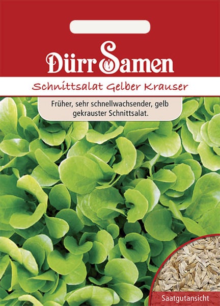 Samenpackung Dürr Samen Schnittsalat Gelber Krauser mit Abbildung der Blätter und Detailansicht der Samen.