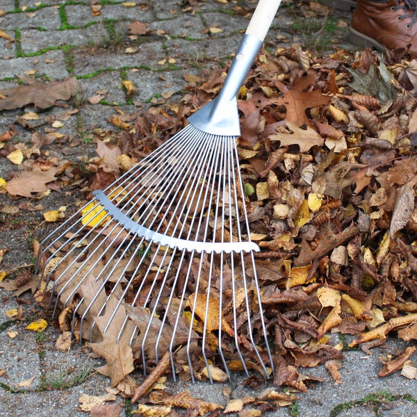 Laubrechen aus Metall mit Holzstiel zum Zusammenrechen von Herbstlaub auf einem gepflasterten Gartenweg.
