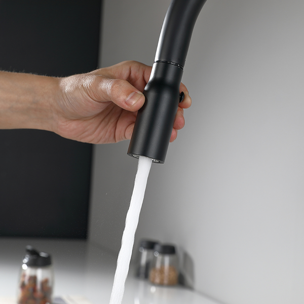 EcoRain 30% Wassersparender Küchenarmatur Lucas mit ausziehbarem Auslauf aus Edelstahl RVS 304 und Messing - Universeller Anschluss - Anti-Kratz-Beschichtung - Erhält Wasserdruck - Schwarz