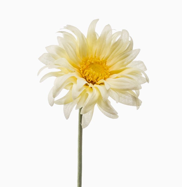 Künstliche Pflanze mit großen grünen Blättern und ausgeprägten Blattadern.