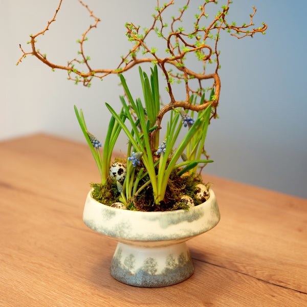 Dekorative Blumengesteck mit Muscari und Ästen in einer Schale.