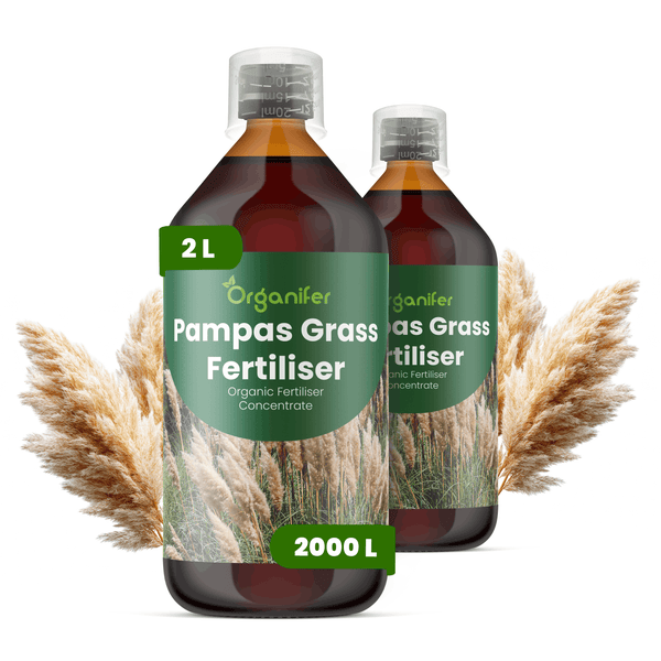 Organifer Pampasgras Dünger, zwei Flaschen zu je 2 Liter, biologisches Konzentrat für Ziergräser.