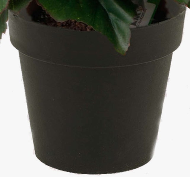 Nahaufnahme einer künstlichen Polyscias Pflanze mit detailreichen grünen Blättern an braunen Ästen.