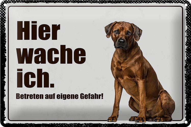 Blechschild Spruch 30x20cm Rodhesian Ridgeback hier wache ich