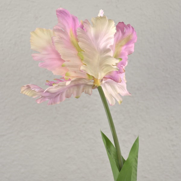 Nahaufnahme grüner Orchideenstiele mit Verzweigungen und weißen Blüten.