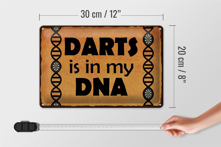 Blechschild Spruch 30x20cm Darts is in my DANN
